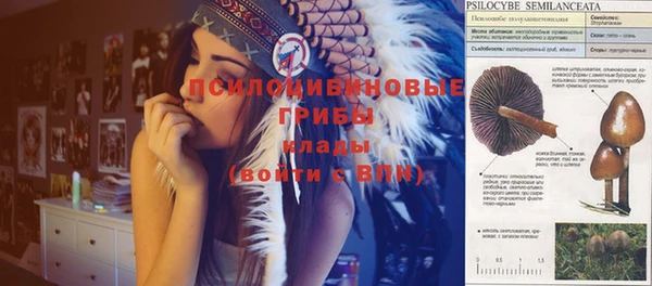 наркотики Баксан