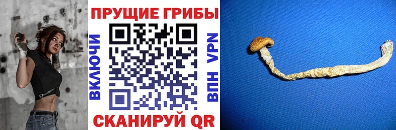 даркнет сайт  Фролово  Псилоцибиновые грибы прущие грибы 